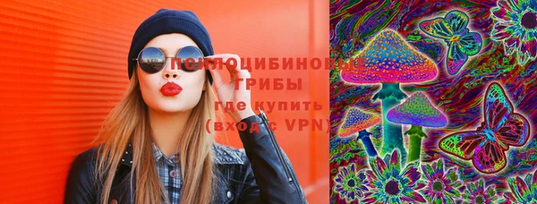 эйфоретик Баксан