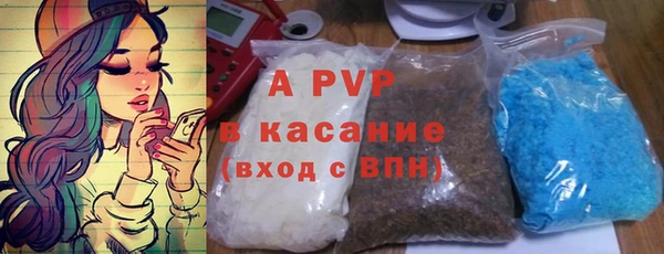 эйфоретик Баксан
