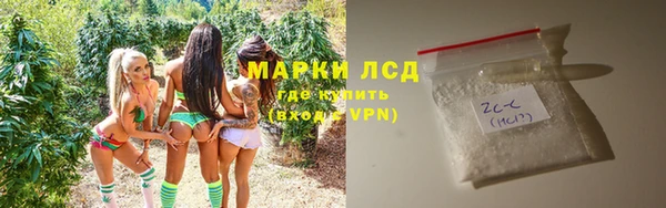 эйфоретик Баксан