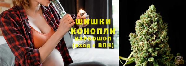 эйфоретик Баксан